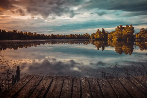 Nature photography, photograph 6