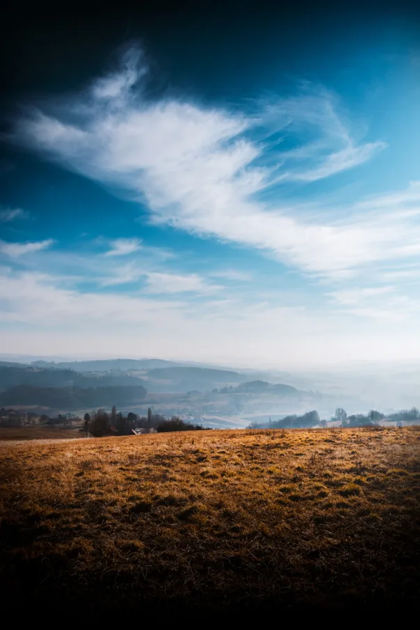 Nature photography, photograph 28