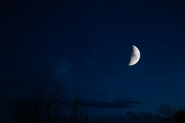 Nature photography, photograph 8