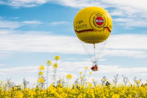 The largest aviation event in Slovenia was taking place between 16th and 23th September in Murska Sobota. More than 100 Hot Air Balloons were present in competition. 500+ more pics from this event can be found here.