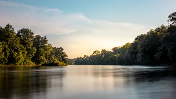 Nature photography, photograph 22