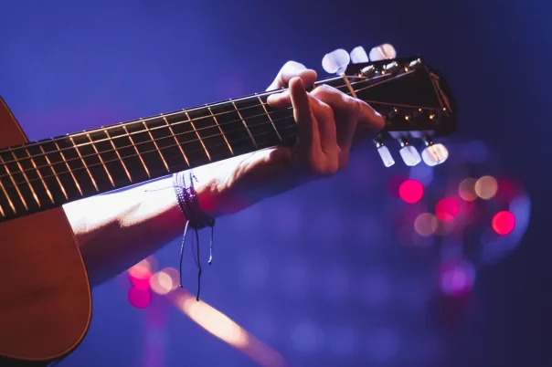 Siddharta unplugged, photograph 8