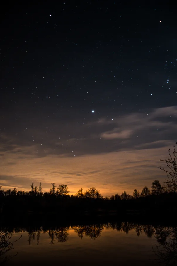 Nature photography, photograph 38