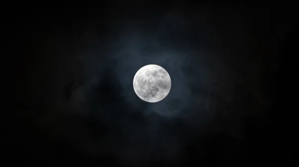 Nature photography, photograph 17
