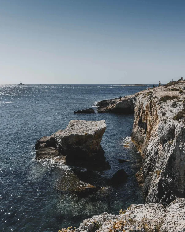 Nature photography, photograph 44