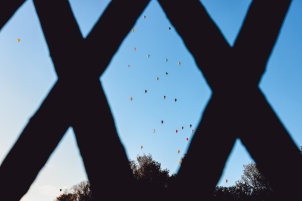 The largest aviation event in Slovenia was taking place between 16th and 23th September in Murska Sobota. More than 100 Hot Air Balloons were present in competition. 500+ more pics from this event can be found here.