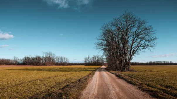 Nature photography, photograph 11