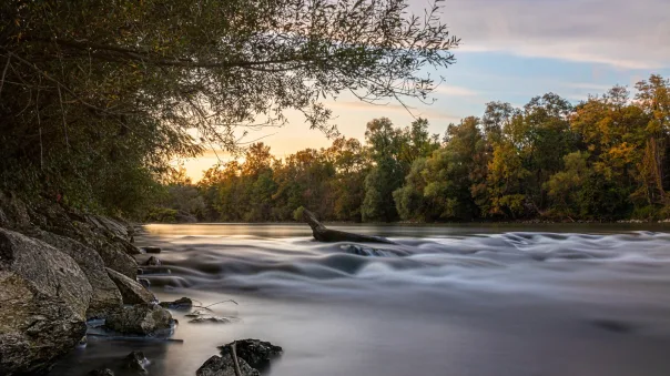 Nature photography, photograph 12