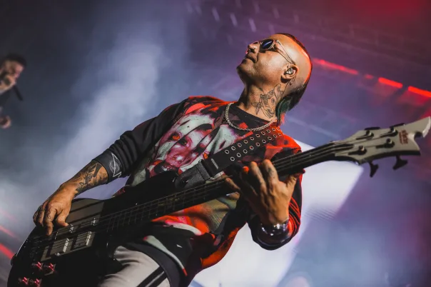 Avenged Sevenfold, photograph 9