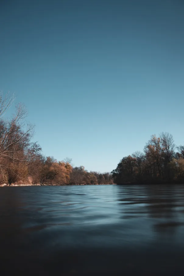 Nature photography, photograph 46